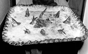 Starry Gazey Pie, Mousehole, Cornwall Print
