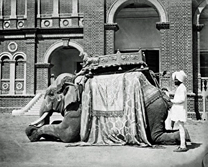 State elephant, Baroda (Vadodara), Gujarat, India State elephant, Baroda (Vadodara), Gujarat, India