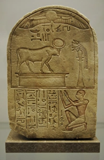 Stele dedicated to bull Mnevis by laundryman Ipi. Egypt Stele dedicated to bull Mnevis by laundryman Ipi. Egypt