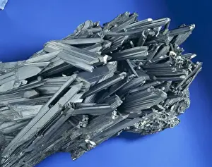Natural History Museum Specimens Prints: Stibnite