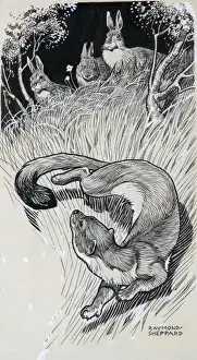 Raymond Sheppard Artwork Prints: Stoat and Rabbits