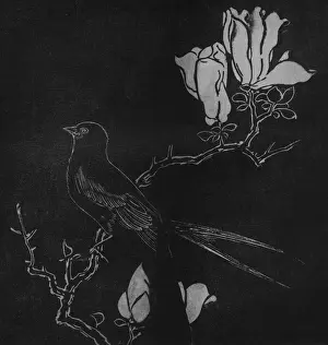 Ancient Chinese Print: Rubbing from 10th Century Stone Engraving