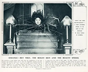 Strange - But True - The Bogey Men and the Beauty Spider Strange - But True - The Bogey Men and the Beauty Spider