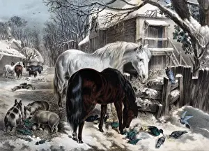 American Winter Landscapes Prints: The Straw-Yard, Winter