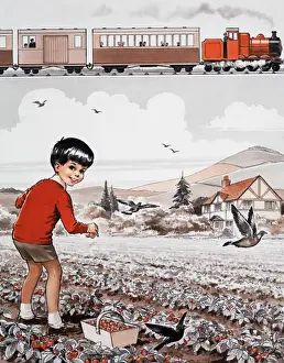 Strawberry Picking Print by Mary Evans Prints Online