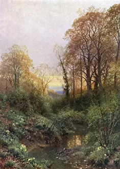 English River Landscapes Prints: Stream at Leith Hill