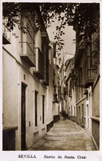 Street in the Santa Cruz district, Seville, Spain Street in the Santa Cruz district, Seville, Spain