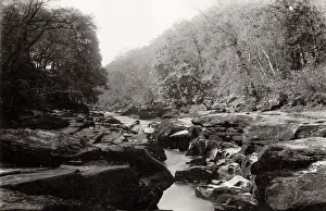 The Strid, River Wharfe, Bolton Woods, Yorkshire The Strid, River Wharfe, Bolton Woods, Yorkshire