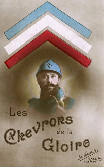 The Stripes / Chevrons of Glory - earned by a French Soldier The Stripes / Chevrons of Glory - earned by a French Soldier