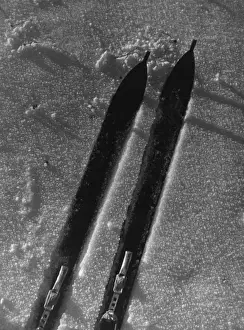 Vintage Ski Photos Prints: Study of Skis