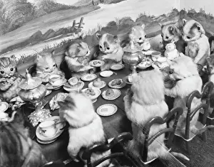 Prints of Stuffed animals sit around a tiny table eating and drinking at the Walter Potter Museum, Jamaica Inn, London, sadly sold off and disbanded in 2003. Date: 1960s Jamaica Prints: Walter Potter's Stuffed Kittens Lunch Print, 1960s
