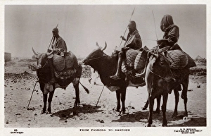 Sudan - Travelling by Ox between Fashoda and Darfour Sudan - Travelling by Ox between Fashoda and Darfour