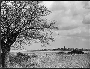 Suffolk Landscape Photography Prints: Suffolk Scenery