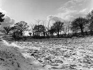 Suffolk Snow Print: Tattingstone Landscape, 1950s