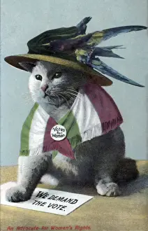 Related Image Prints: Suffragette Cat in Hat and Flag Print, circa 1908