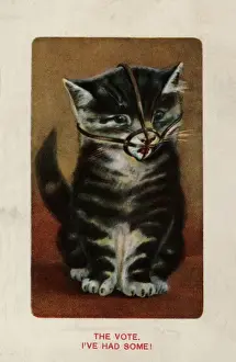 Suffragette Cat Prints: Suffragette, Cat In Muzzle, the Vote
