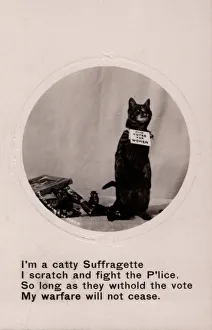 Suffragette Cat Scratch and Fight Police Suffragette Cat Scratch and Fight Police