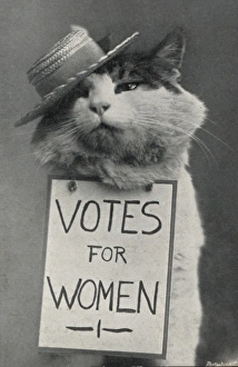 Suffragette Cat in Straw Hat Votes for Women Suffragette Cat in Straw Hat Votes for Women