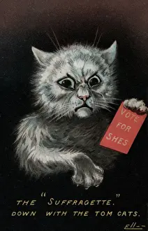 Suffragette Prints: Aggressive Cat Votes for Suffragette, circa 1907 Print