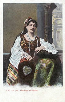 One of the Sultans Concubines from the Harem - Turkey One of the Sultans Concubines from the Harem - Turkey
