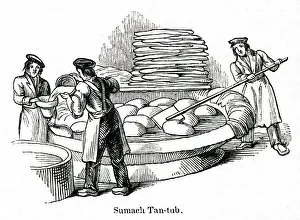 Sumach tan tub at a leather factory, south London Sumach tan tub at a leather factory, south London