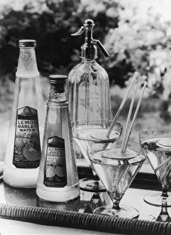 Vintage Glassware Prints: Summer Fruit Drinks