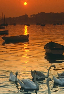 Sunset over Falmouth harbour, Cornwall Sunset over Falmouth harbour, Cornwall