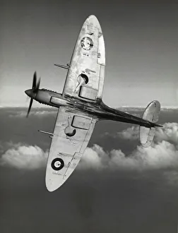 <b class=qtipBold><figcaption>Supermarine Spitfire 8 / VIII</figcaption></b><br>Royal Air Force RAF Supermarine Spitfire 8 Banking with Cloud Behind Date: 1940s<br><em>© aviation-images.com / Mary Evans Picture Library</em> Supermarine Spitfire 8 / VIII