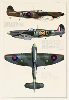 Supermarine Spitfire and Hawker Tempest aeroplanes Supermarine Spitfire and Hawker Tempest aeroplanes