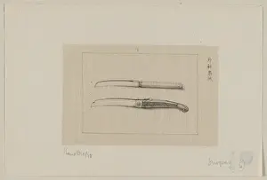 Antique Surgical Instruments Prints: Surgery scalpels