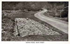 A surviving section of Roman Road in the Forest of Dean A surviving section of Roman Road in the Forest of Dean