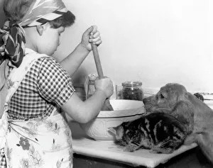 Susi - with girl, mixing bowl and kitten Susi - with girl, mixing bowl and kitten