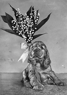 Susi - with lily of the valley Susi - with lily of the valley