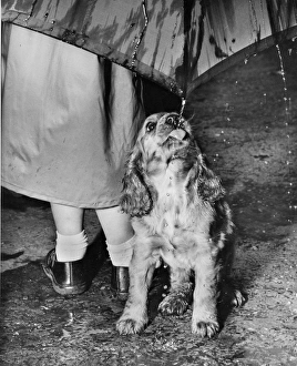 Susi - walking in the rain Susi - walking in the rain