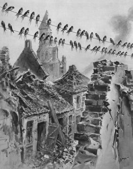 Swallows migrating amongst the ruins, WW1 Swallows migrating amongst the ruins, WW1