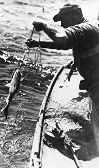 Swordfishing Print: A 1930s Catch