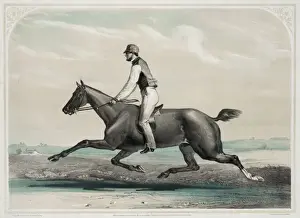 American Horse Racing Prints: Tacony