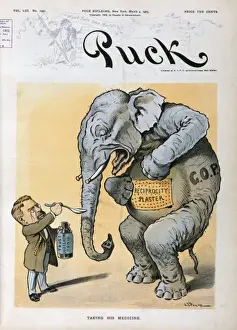 Puck Magazine Cartoons Online Prints: Taking his medicine