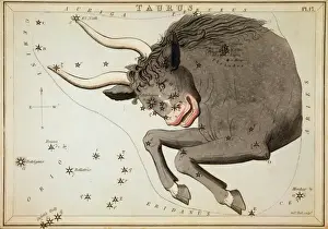 Star Chart Prints: Taurus Taurus Astronomical Print 1825