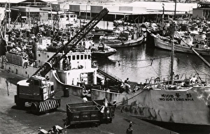 Tema Fishing Harbour, Ghana, Gold Coast, West Africa Tema Fishing Harbour, Ghana, Gold Coast, West Africa