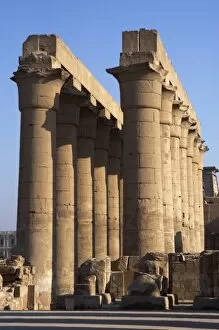 Images Dated 26th November 2003: Temple of Luxor. Colonnade with two rows of seven smooth sha