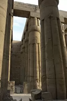 Images Dated 26th November 2003: Temple of Luxor. Columns