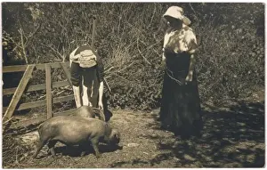Print of Two Women Tending Pigs in a Pen, 1900