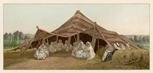North African Nomads Prints: Tent of Nomadic Arabs