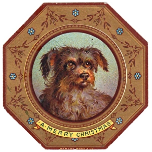 Terrier dog on plate design on a Christmas card Terrier dog on plate design on a Christmas card