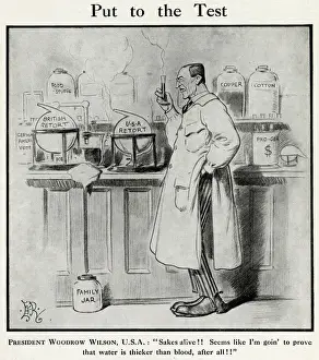 Woodrow Wilson, 1915 Print: Sakes Alive