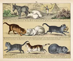 Print of Cats and a Donkey from 1880 Textbook Plate