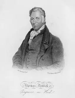 Prints of THOMAS BEWICK English illustrator and wood engraver Thomas Bewick Prints: Thomas Bewick Print, Wood Engraving