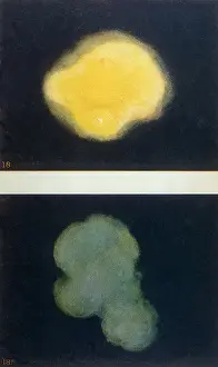 Historical Paranormal Images Prints: Thoughtforms - 18, 18A