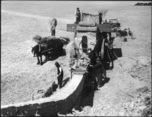 Agricultural Scene Prints: Threshing 1930S